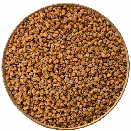 c84577774ec7b9efdb105d10c38104c6