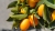 bccbf1c64758c5bf436030db96b95928