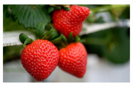 54efd8caa5bfb1bfd73c24dcb24ceda6