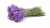 f8e57373d0887c8c8807ef862a54ad8d