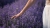 c5b4637efed6764c90e303d471f0c513