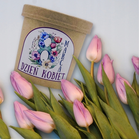 5e11cf7ff7306e1e0328f51bb0d80a95