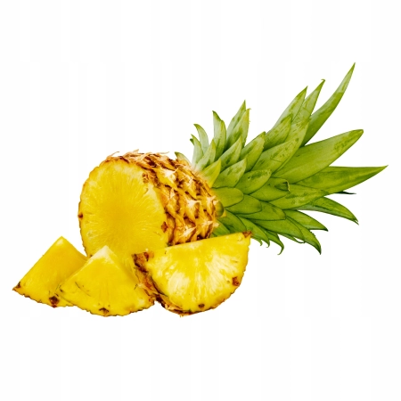 78eadeaa342c1fc9d23857cdf5c3e17e