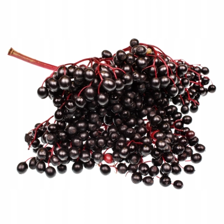 560107146ead55a6af2b5c71f1eb1113