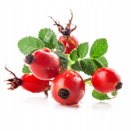 5778bcec37bf2d62ceef4e73f94197e9