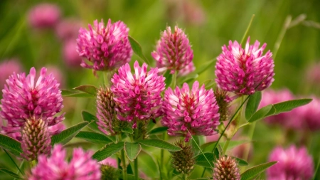 834e131ca53b2a3123e0c52cf0fe4f02