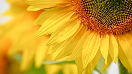 a3ce95a8f7d38d996086edf643e99239