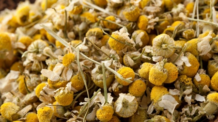 b2e1755662e0173d96ea1137046b9027