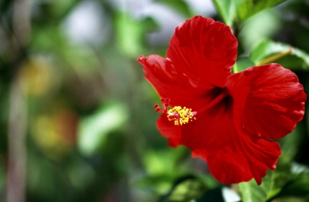 caeb5009c4d25f82b14a34cfbbac2bdb