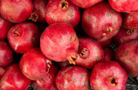 ca28f044ad9837a2725220d9d7838b6a