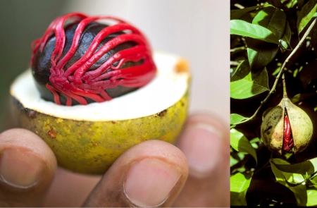 1a8e98ffb59122d22ae0238b2162a961