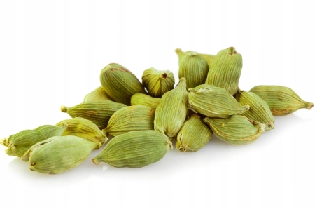 88e878181318addfc1b10eb09f3d65f9