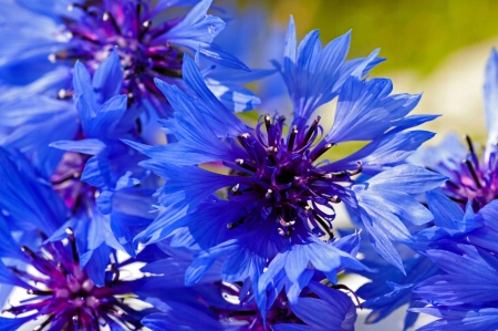 84695752e41e8c506d8bd52de968c163