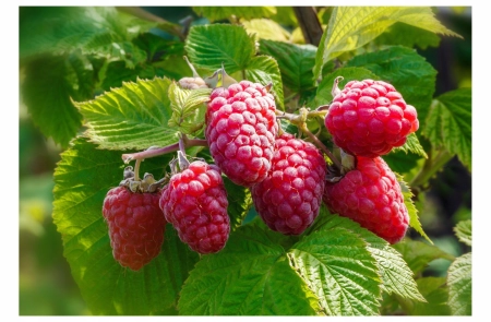 01298155d3959b2a8542a07f6eb6d5df