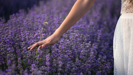 4ca145f61fa6171a64d9542ba33a7411