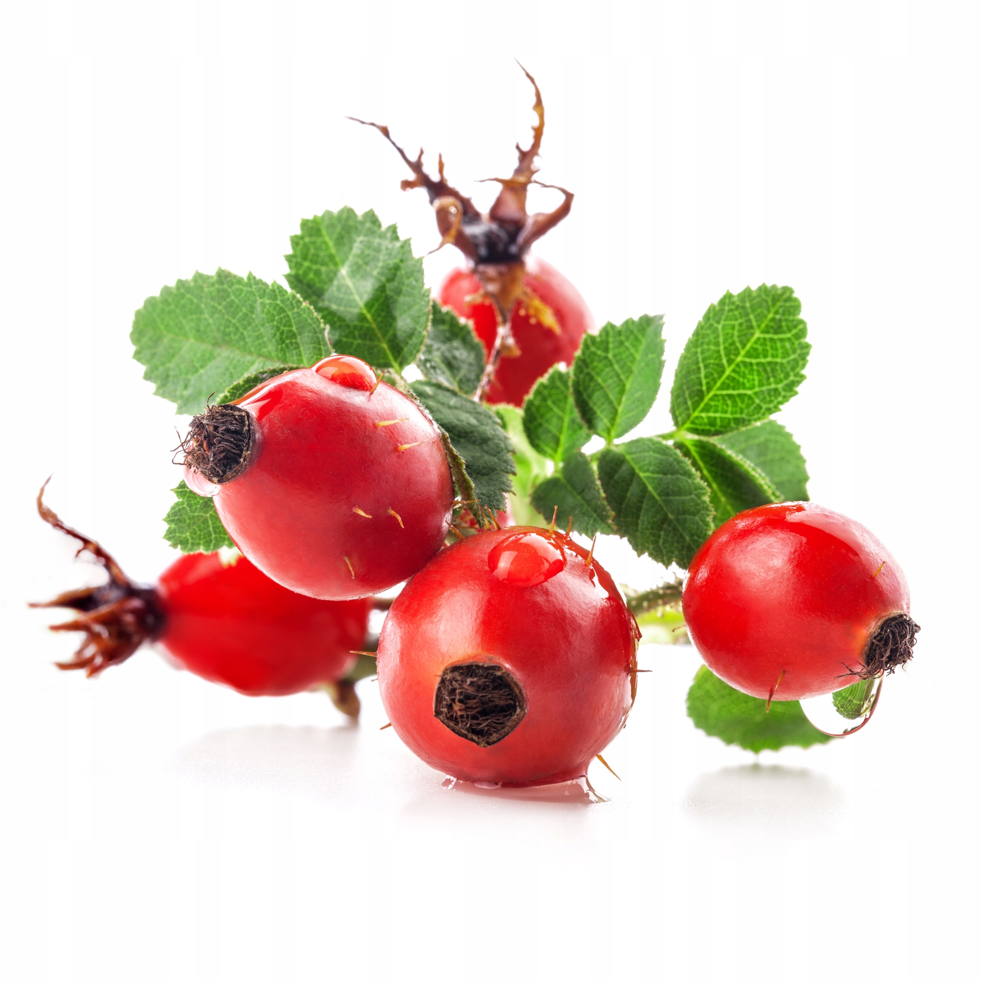 5778bcec37bf2d62ceef4e73f94197e9