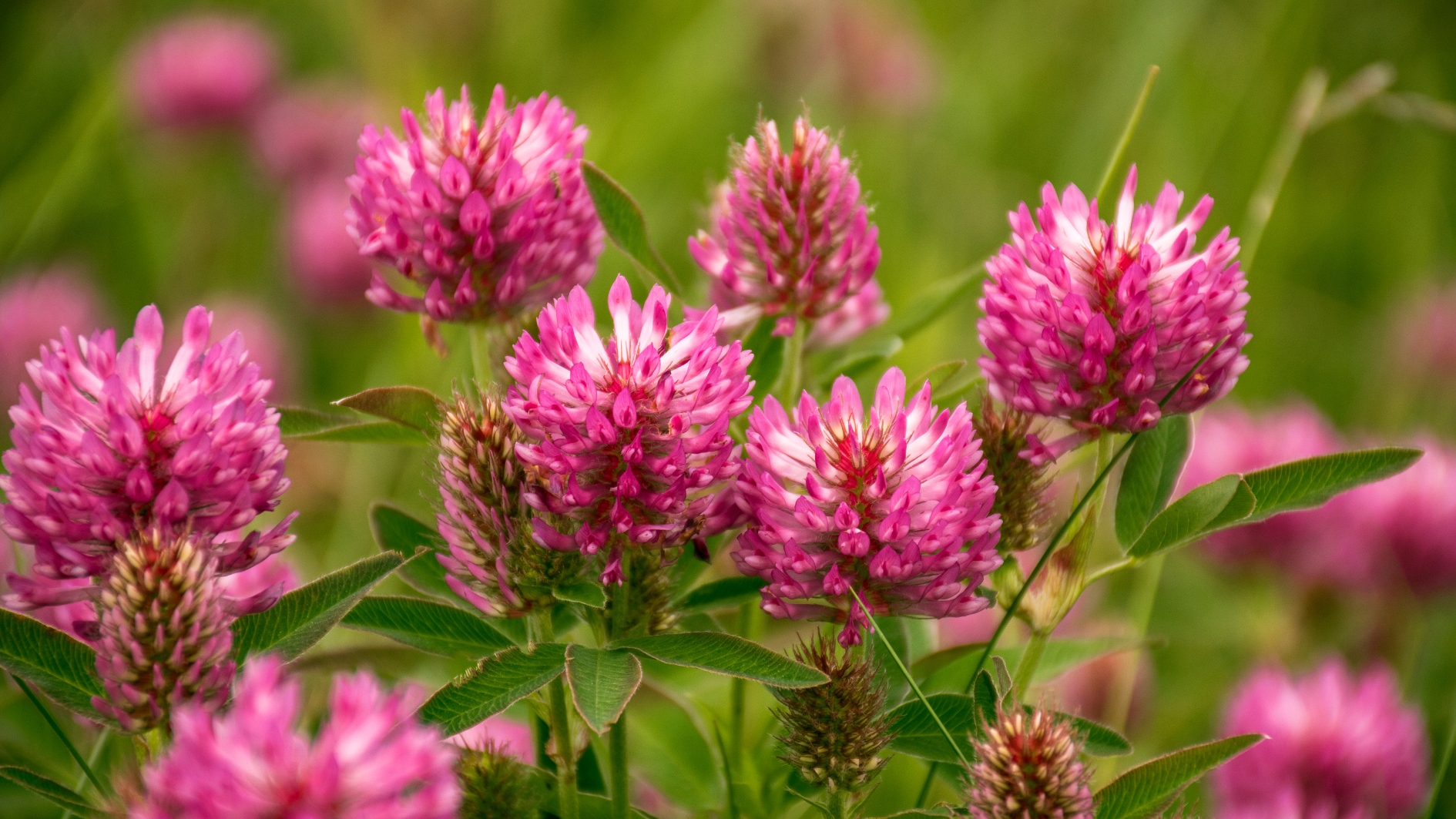 834e131ca53b2a3123e0c52cf0fe4f02