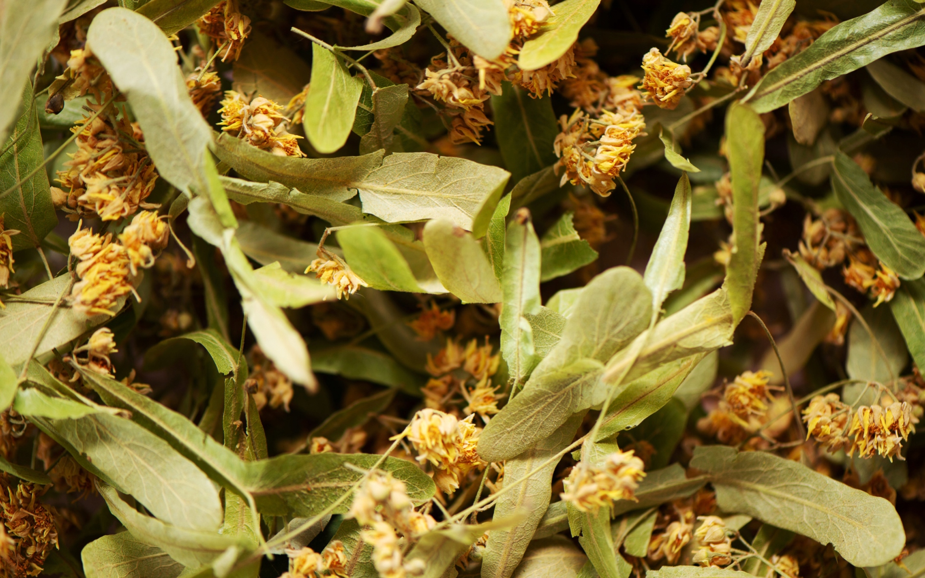 60f41c727974aea4c4d27b554a57dbbf