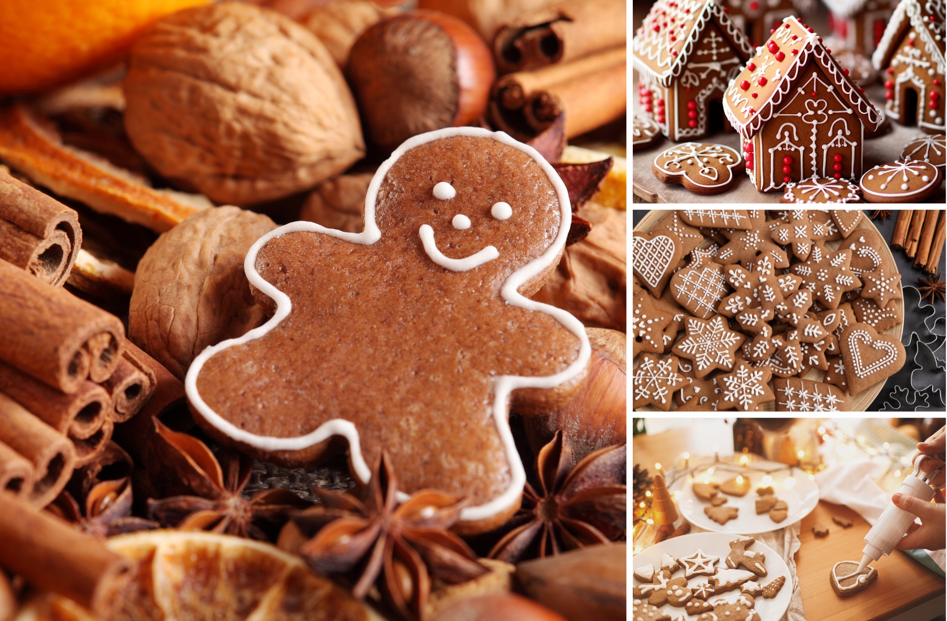 5efd500b88af6cb24a850a1f2bb2ef59