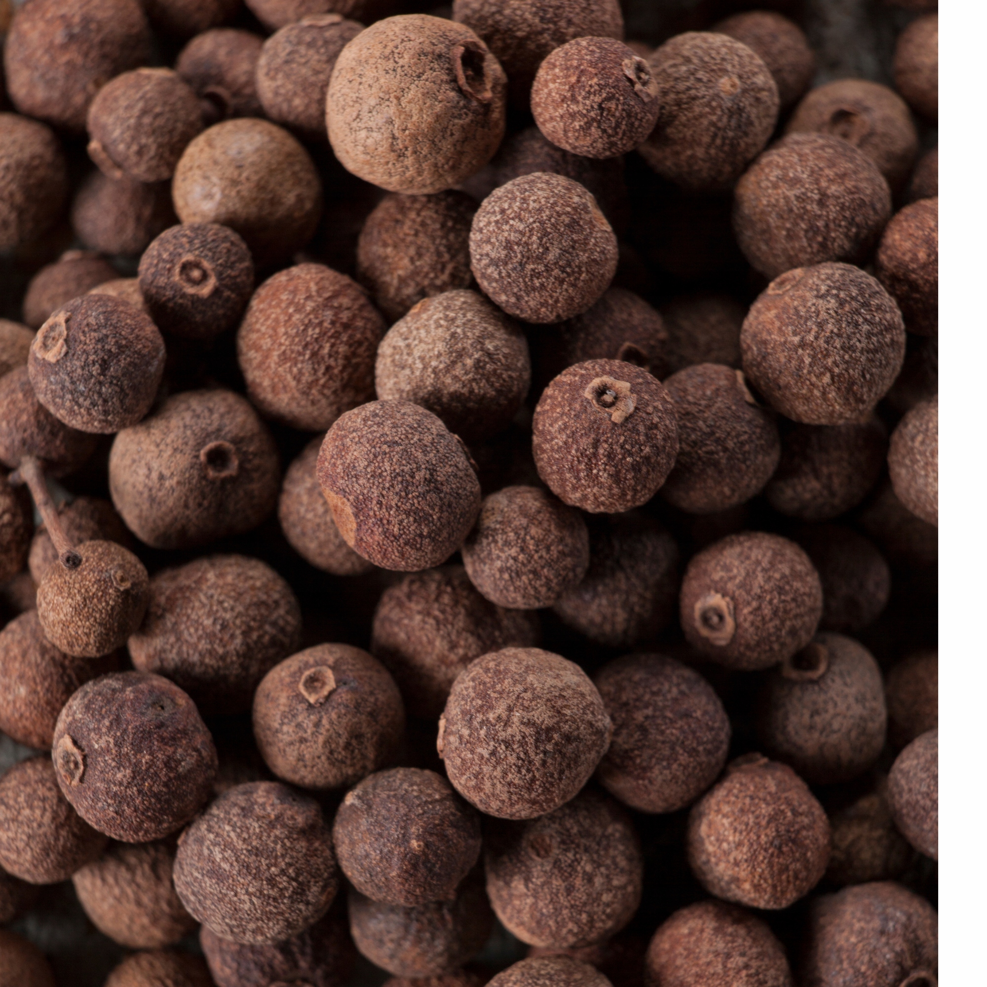 c53e8ec30d24160dbfe2c26e6cb46286