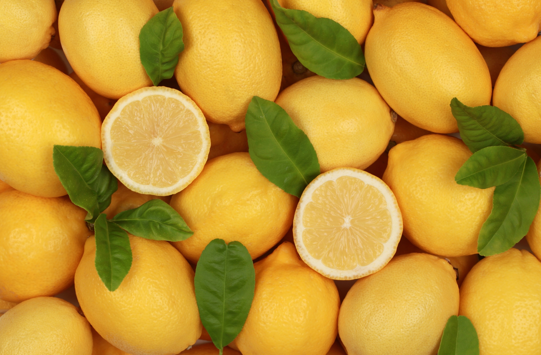 f4e3102f34e27c72c219174353c30a48