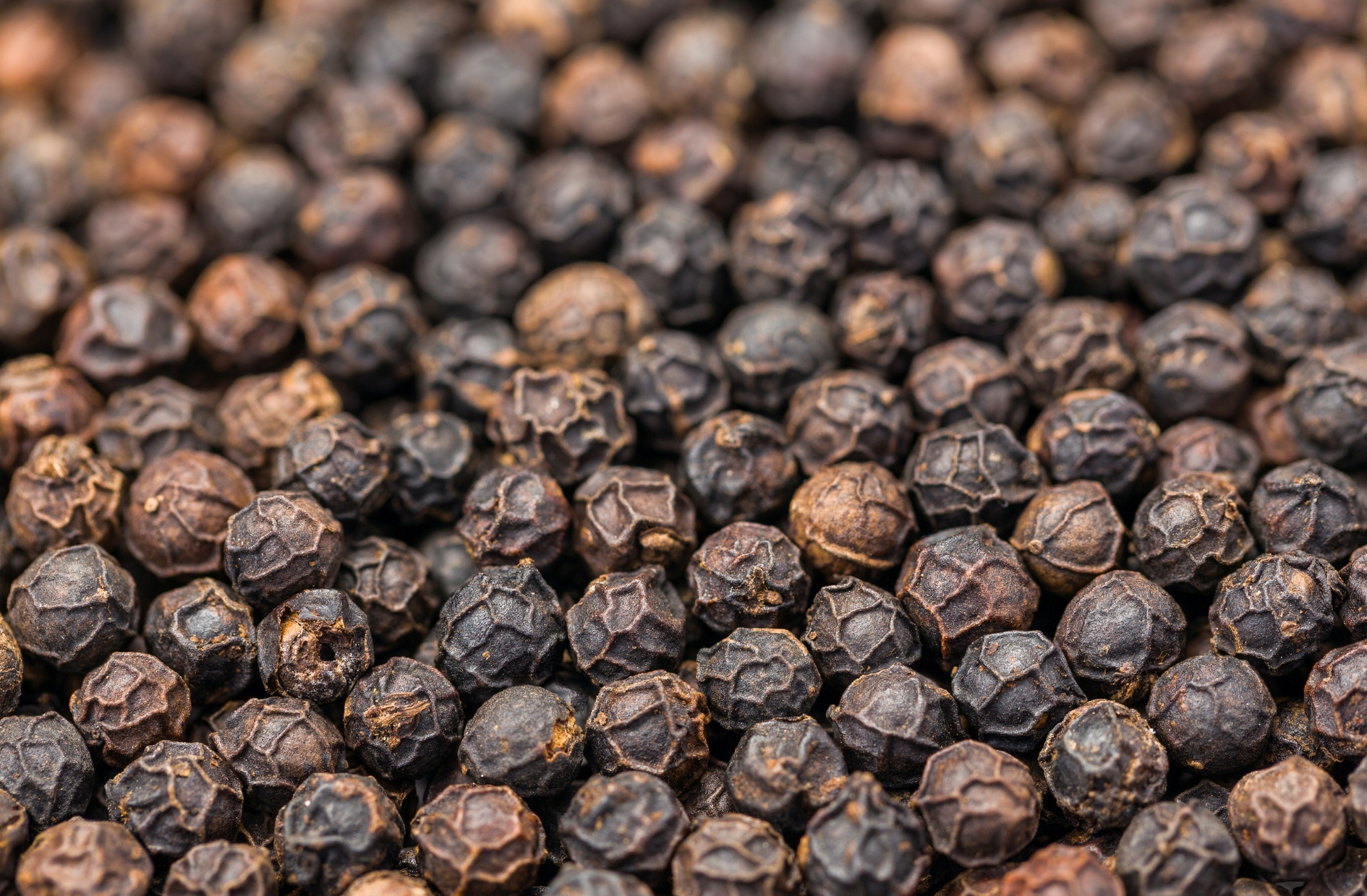 d12df94fa12c594a2658fa19f88dd80f