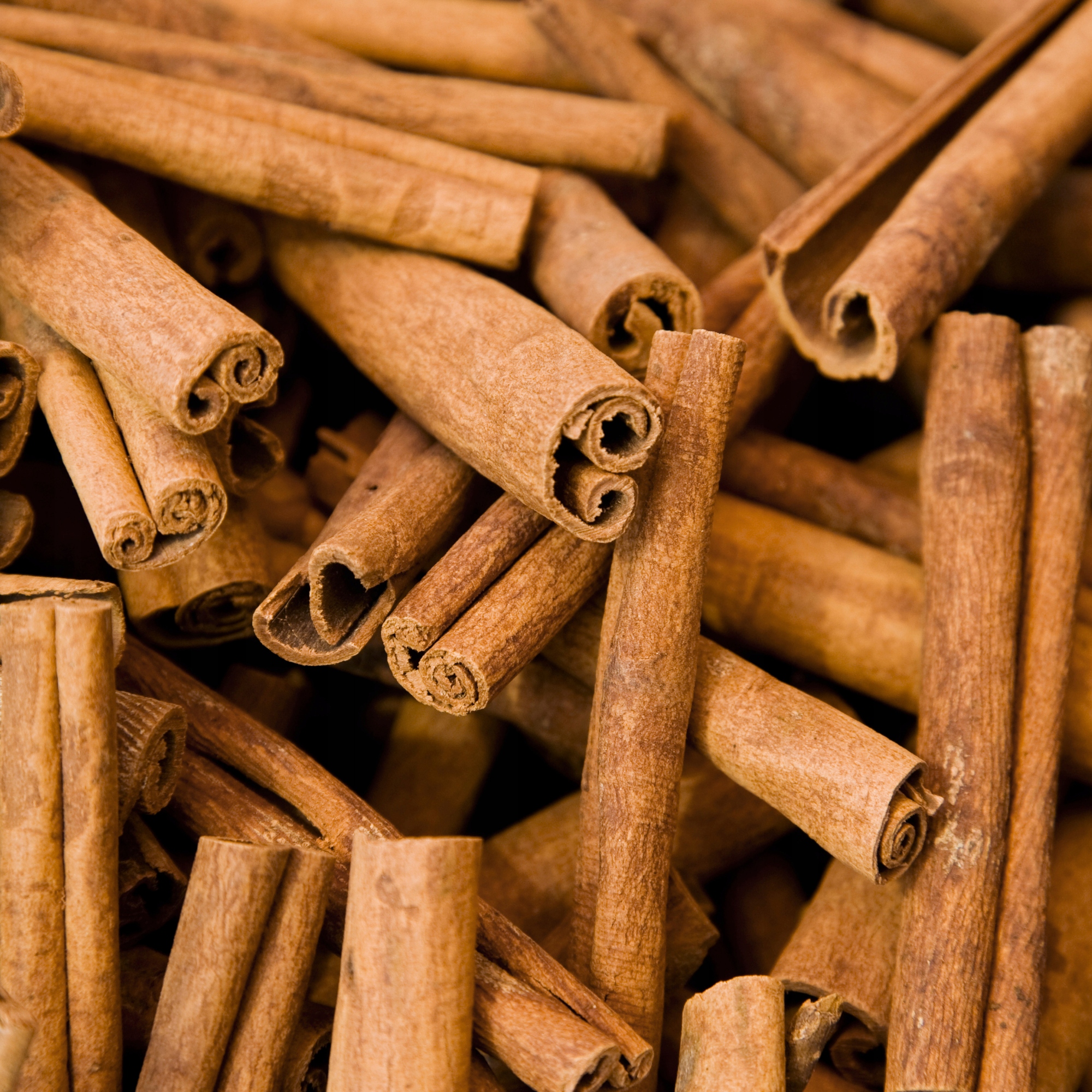 cf010ad4154912c37d444c0896a94ae7