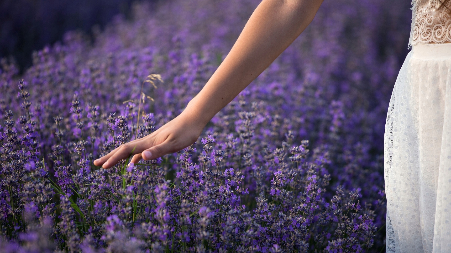 4ca145f61fa6171a64d9542ba33a7411